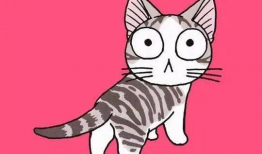 动漫猫猫,动漫世界的奇幻冒险之旅